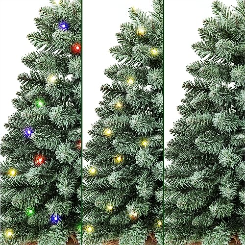 2 ft Mini Christmas Timber with 25 F5 LED Lights - 24" Burlap Adorned Synthetic Tabletop Christmas Timber for House and Celebration Decor in Kitchen, Eating Room, and Home windows