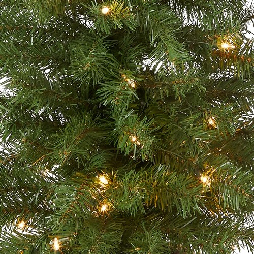 Montclair Spruce 4-ft Pre-lit Synthetic Entrance Tree by Nationwide Tree Firm | Options Pre-strung White Lights | Black/Gold Design