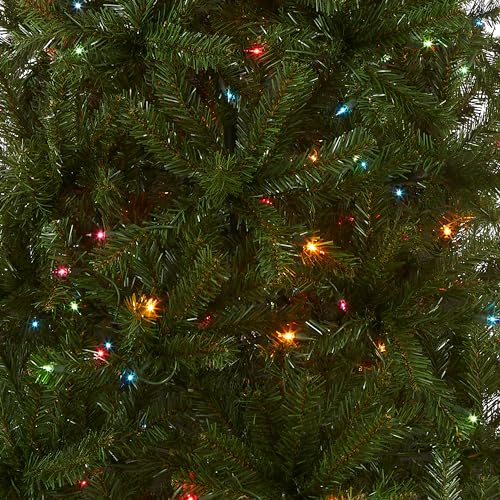 Nationwide Tree Firm 6-Foot Pre-Lit Slim Synthetic Christmas Tree in Inexperienced Aspen Spruce with Multicolor Lights and Stand Included